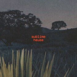Sublime