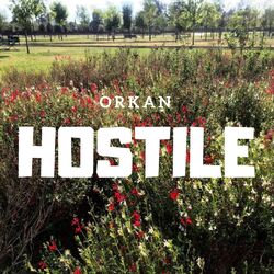 Cover of Hostile