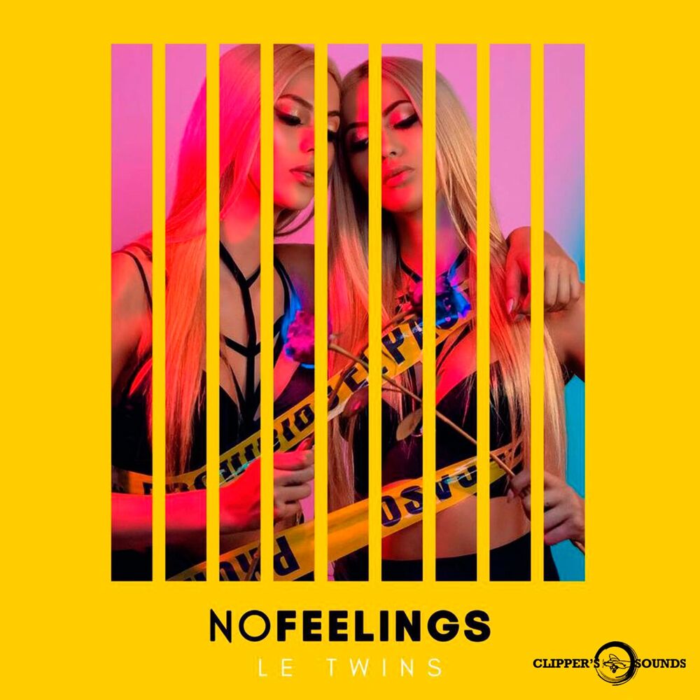 Picture of No Feelings