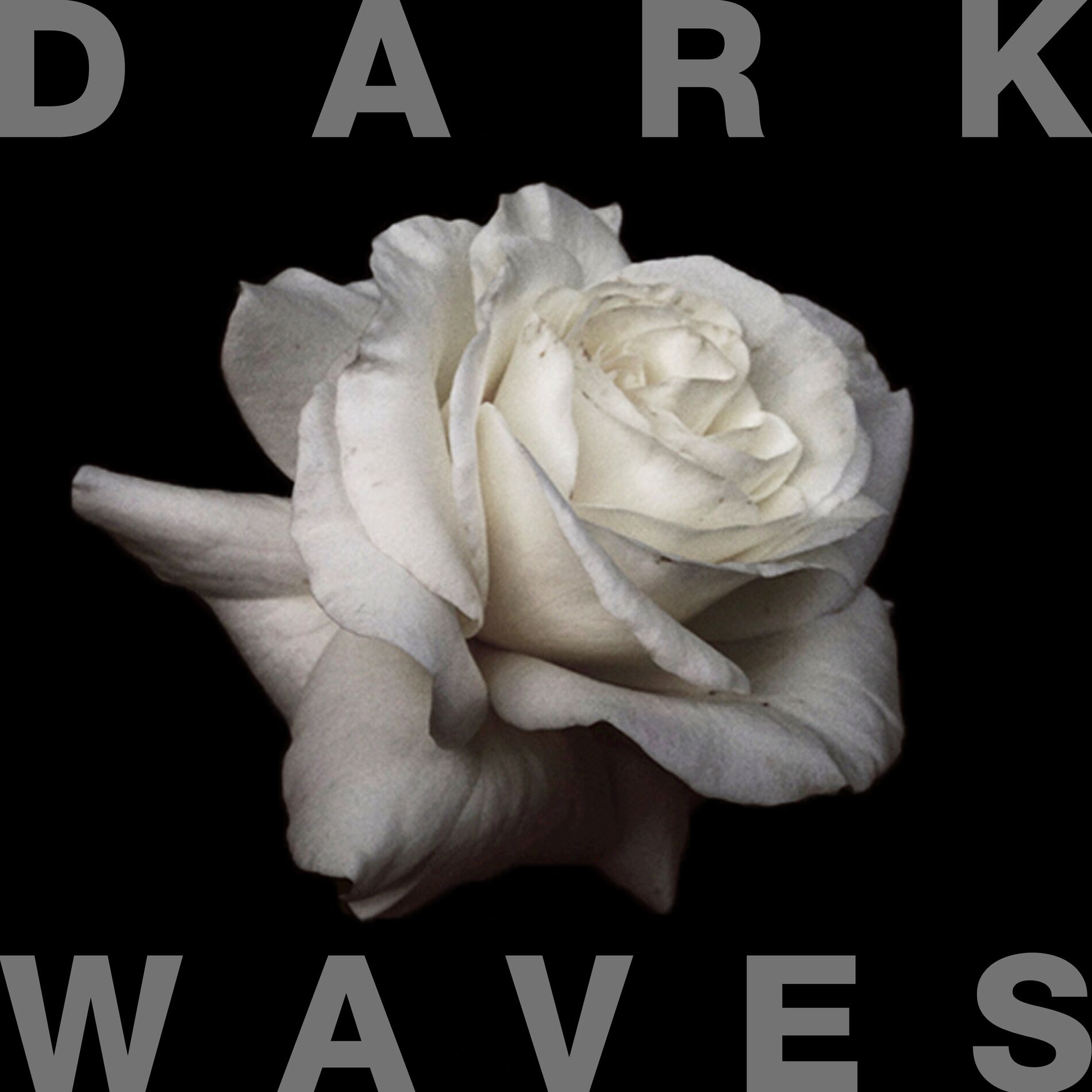 Album cover of Dark Waves