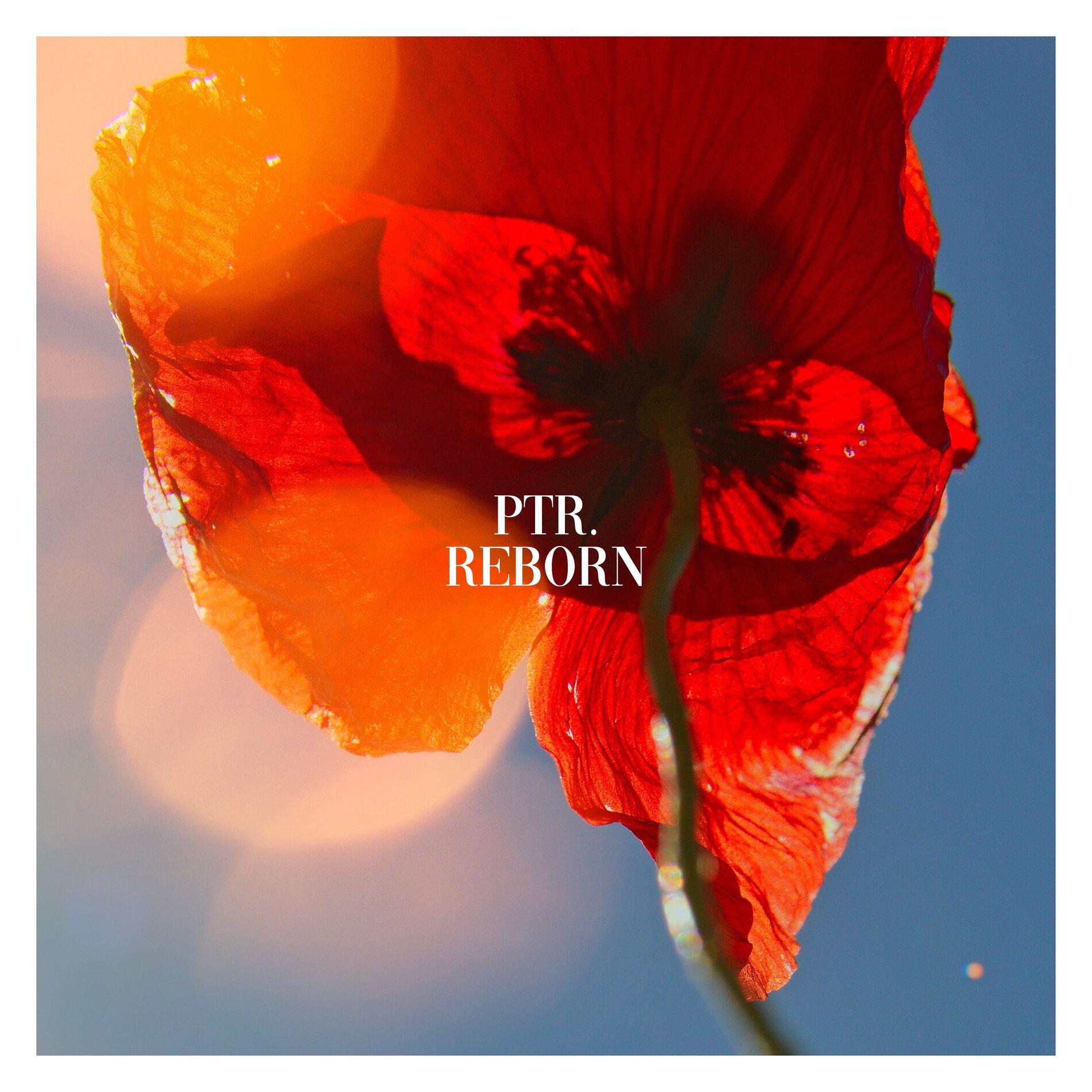 Album cover of Reborn