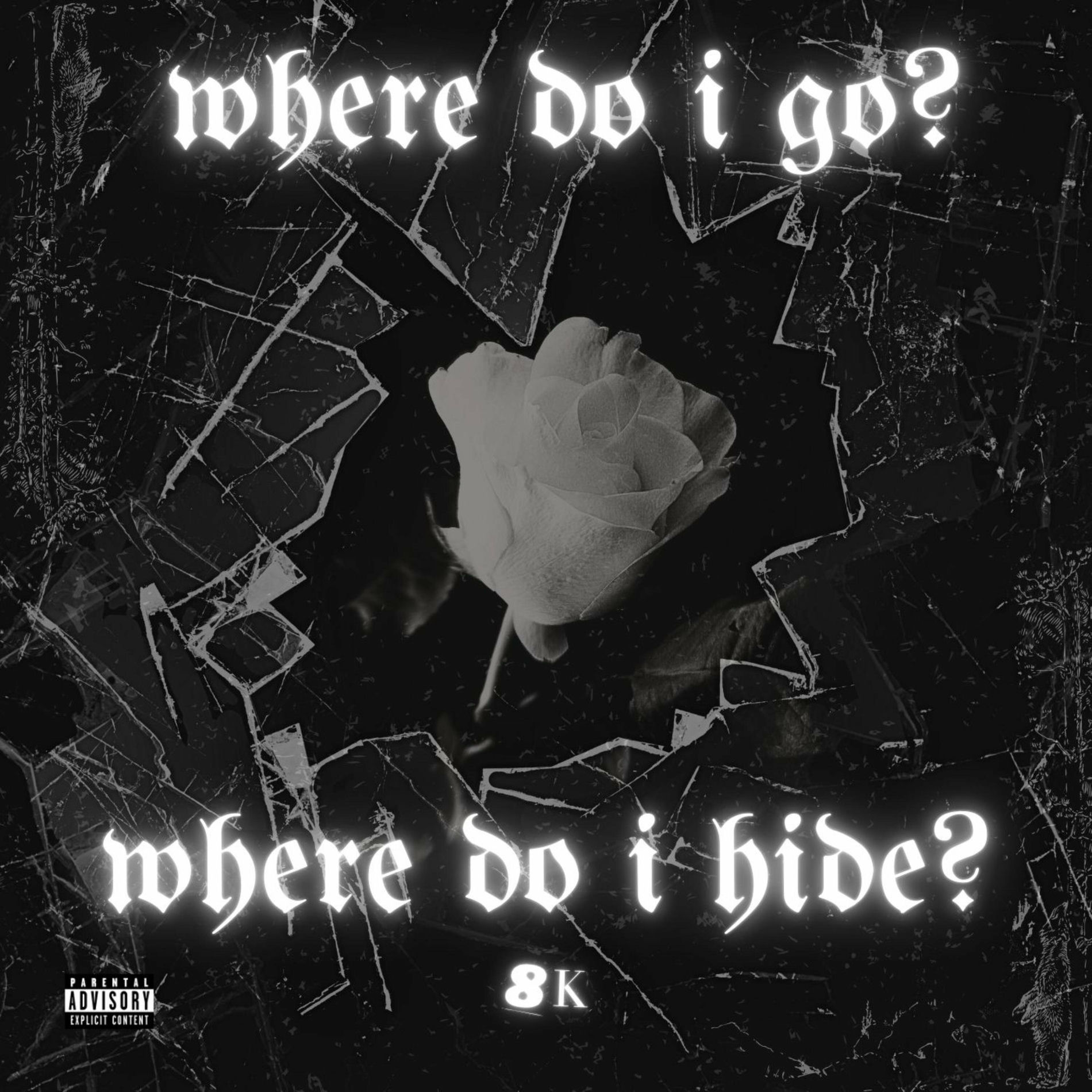 Album cover of WHERE DO I GO?/WHERE DO I HIDE?