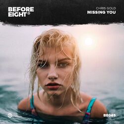 Cover of Missing You