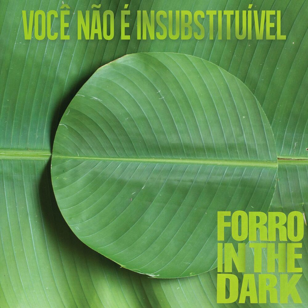 Picture of Você Não É Insubstituível