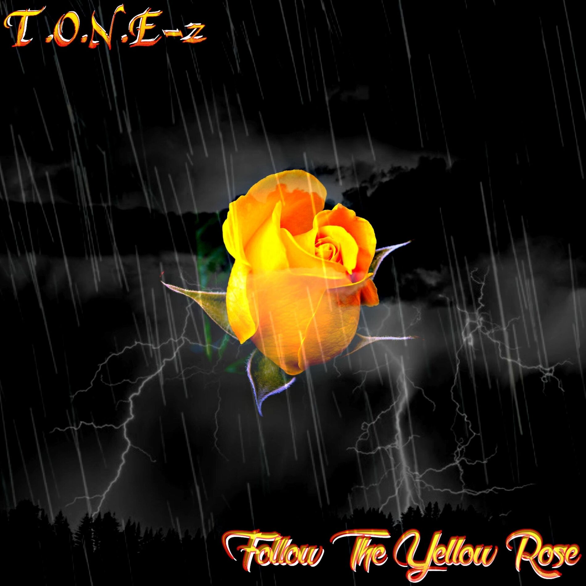 Album cover of Follow The Yellow Rose