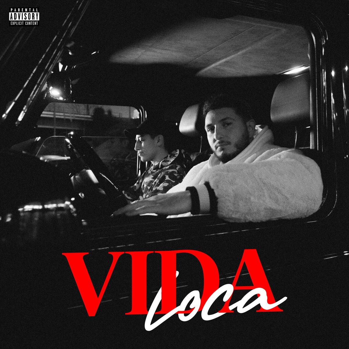 Album cover of Vida Loca