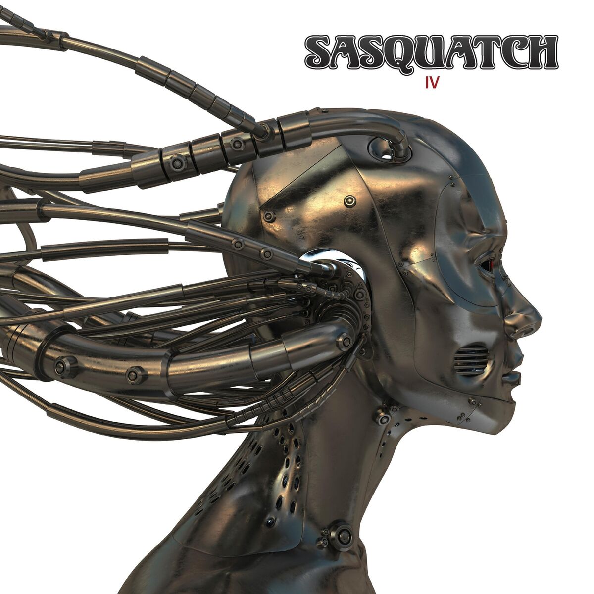 Album cover of IV