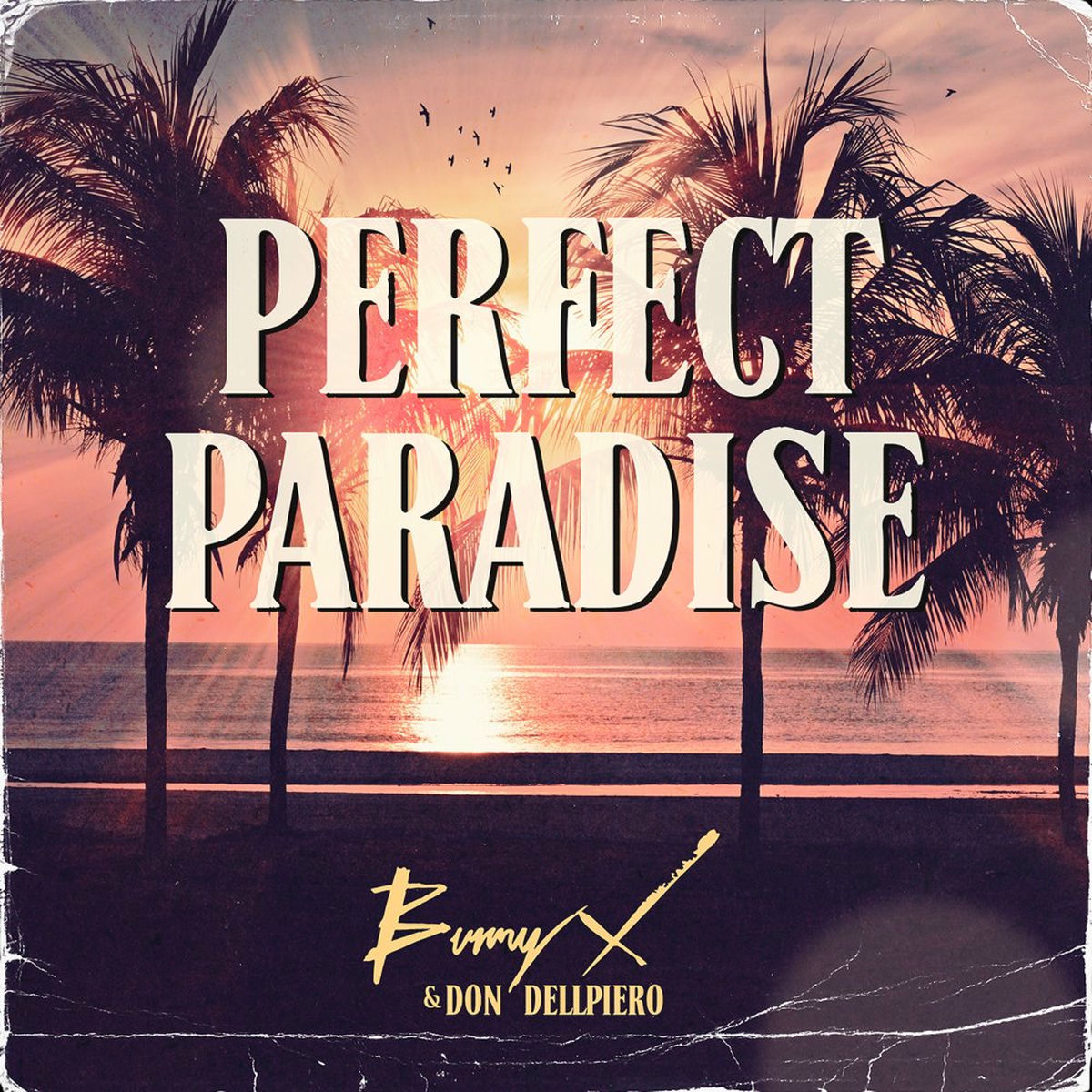 Album cover of Perfect Paradise