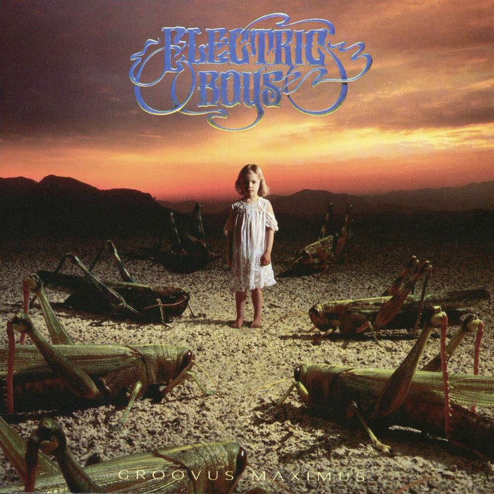 Picture of Groovus Maximus