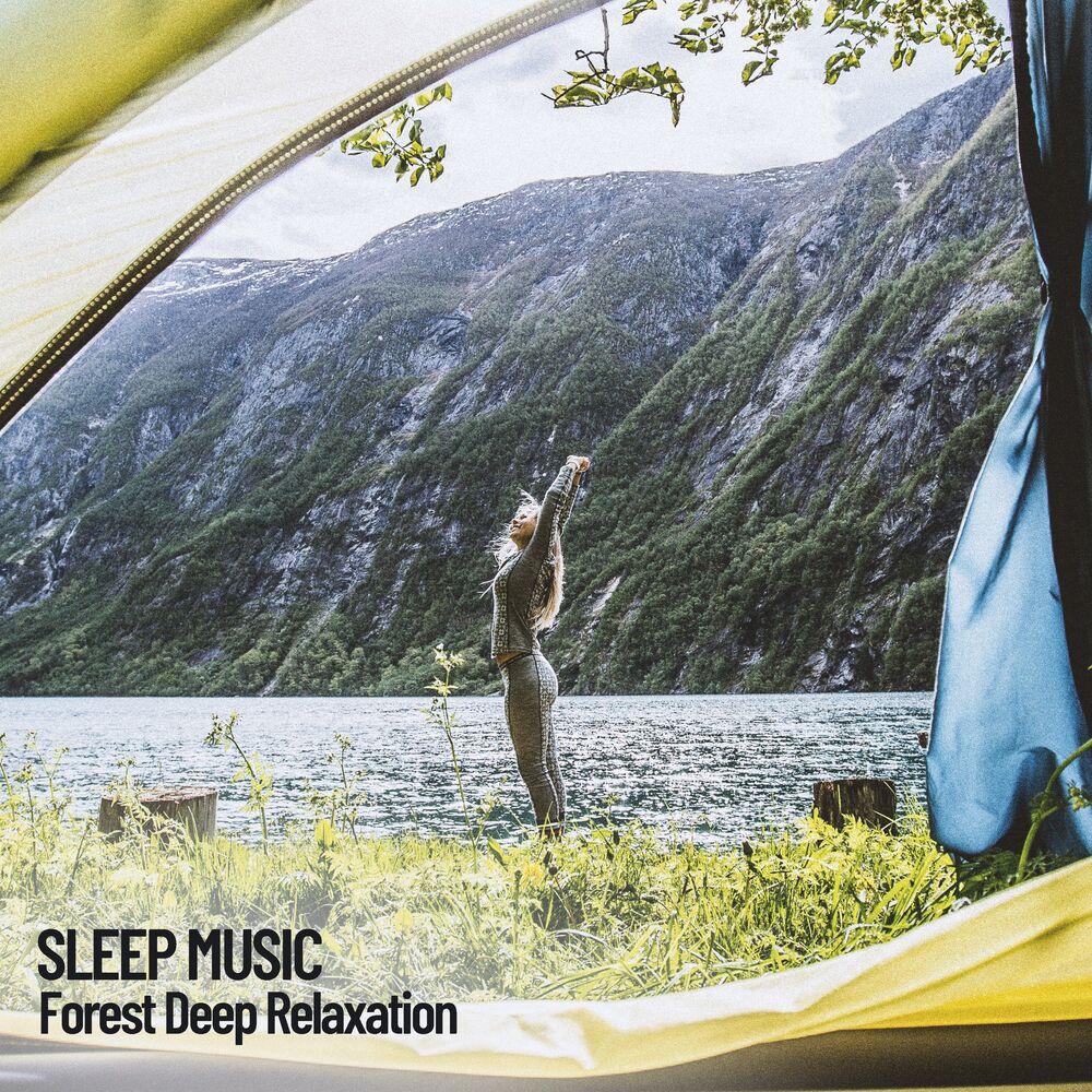 Picture of Sleeping Music: Forest Deep Sound Therapy Relax