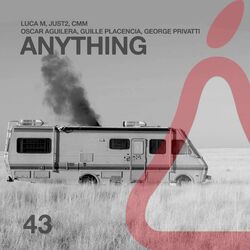 Cover of Anything
