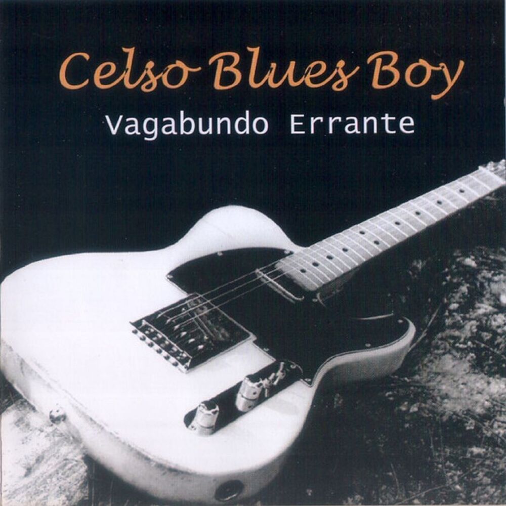 Picture of Vagabundo Errante