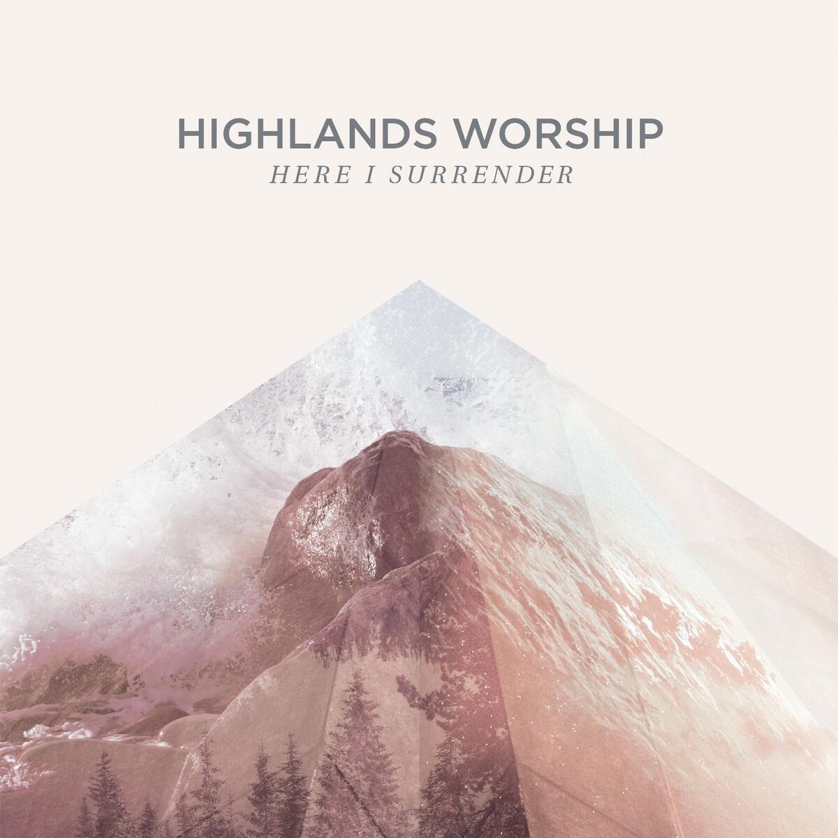 Album cover of I Will Praise
