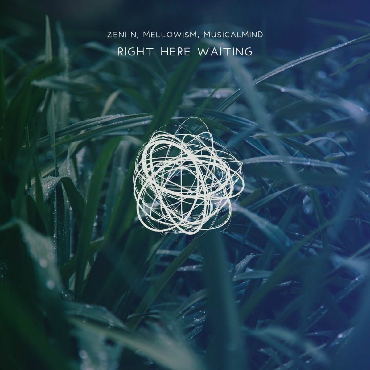 Album cover of Right Here Waiting
