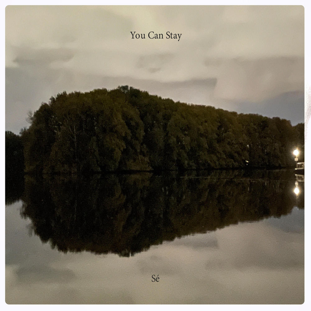 You Can Stay cover