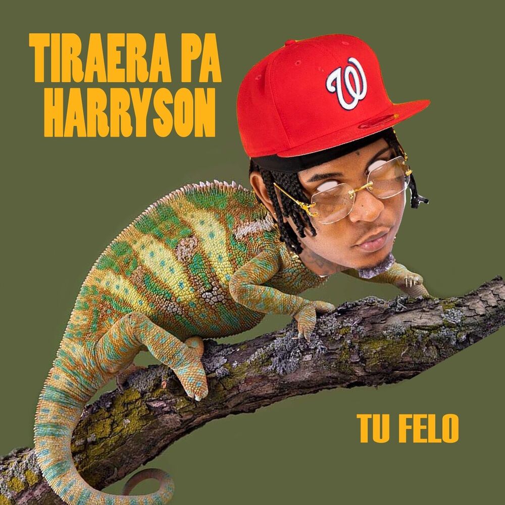 Picture of Tiraera Pa Harryson