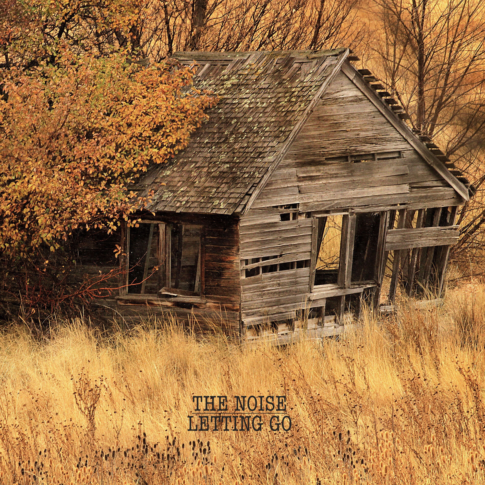 Album cover of Letting Go
