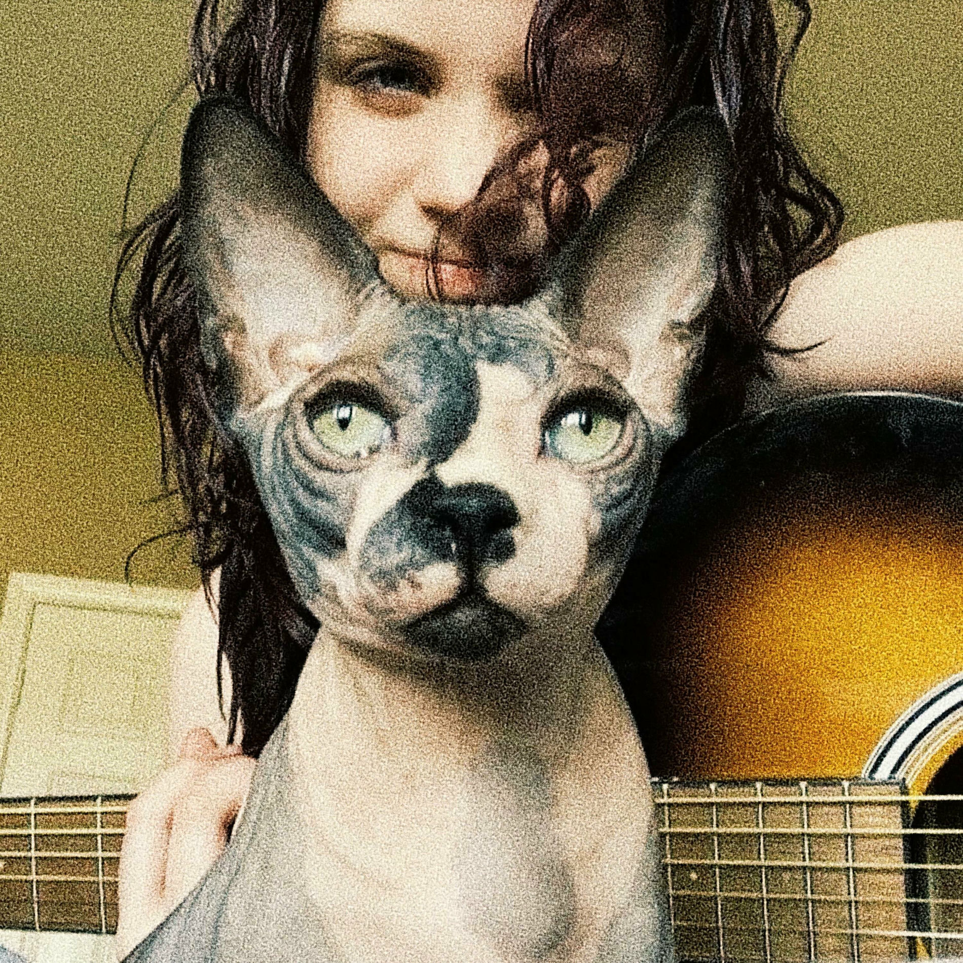 Album cover of Cam Elise (Self-Titled)