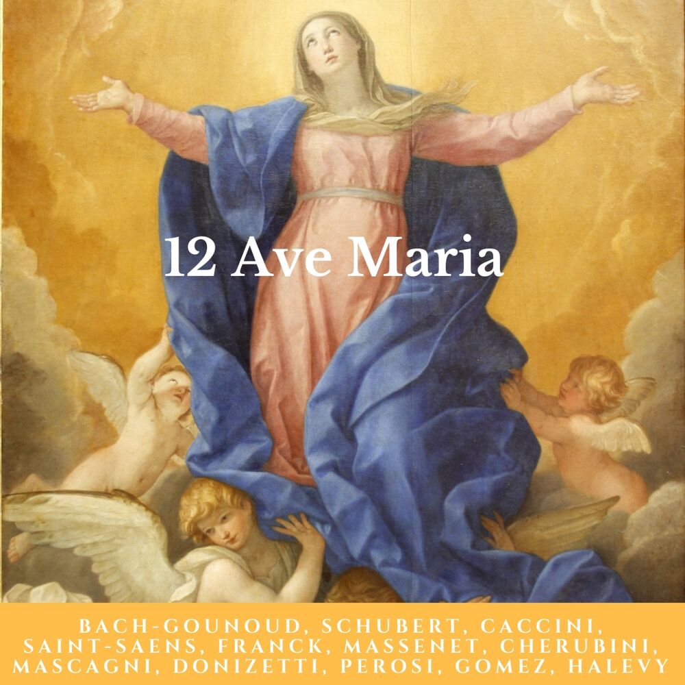Picture of 12 Ave Maria