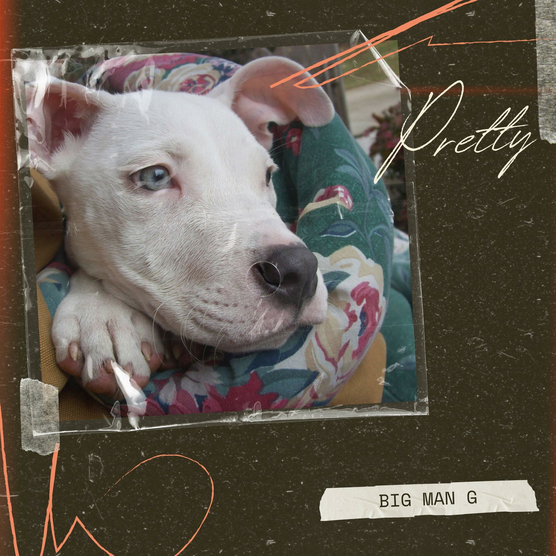 Album cover of Pretty