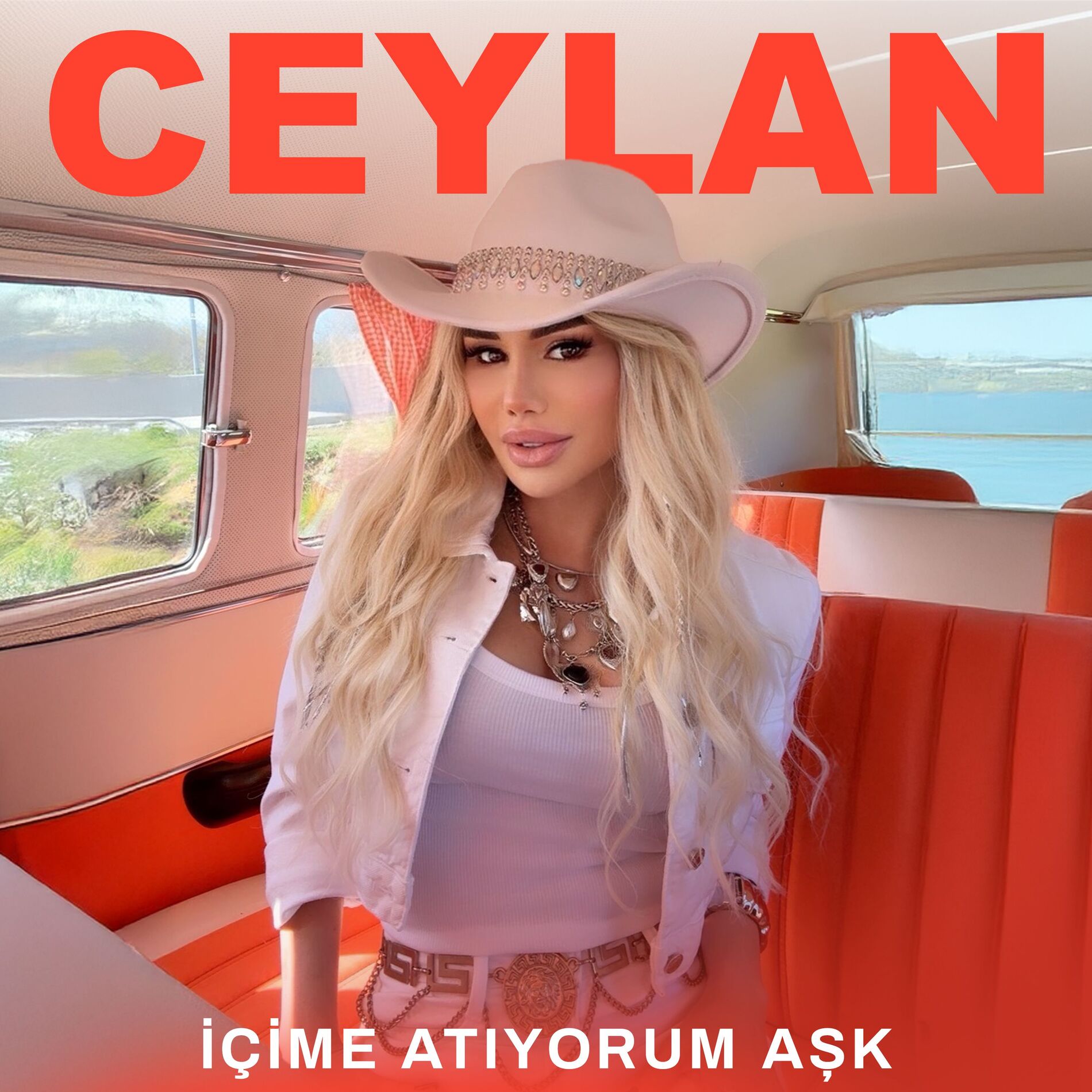 Album cover of İçime Atıyorum Aşk