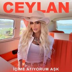 music cover