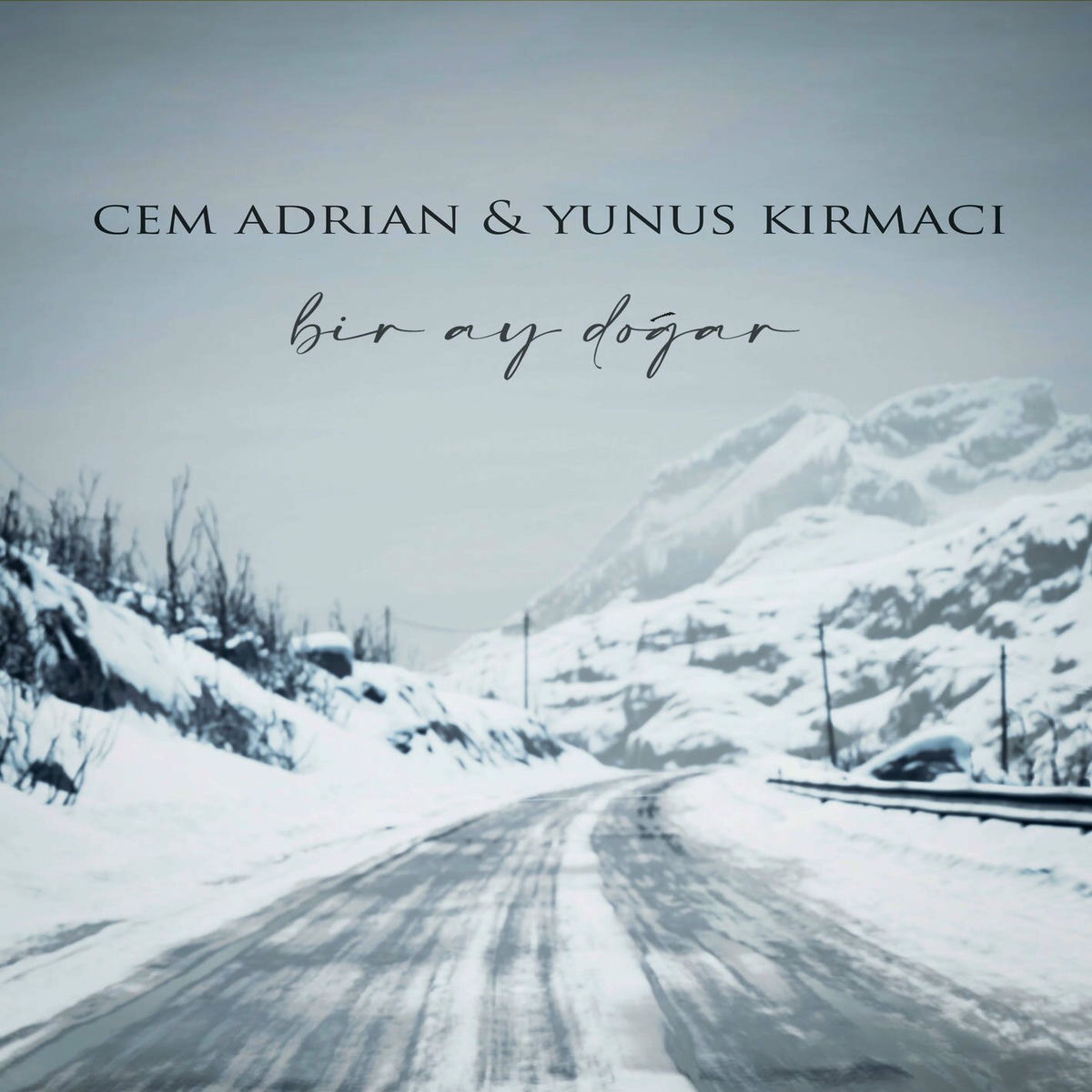 Album cover of Bir Ay Doğar