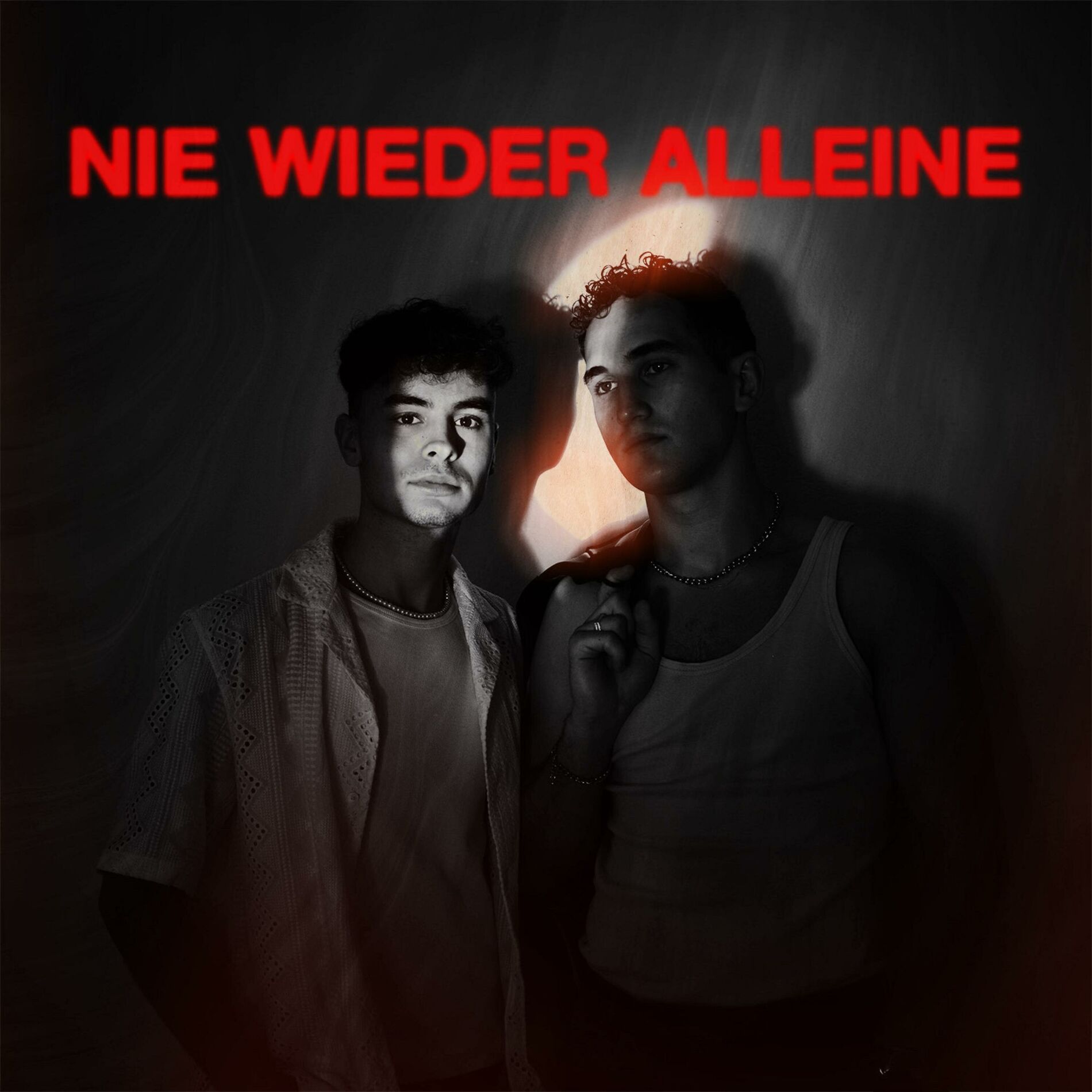 Album cover of Nie Wieder Alleine