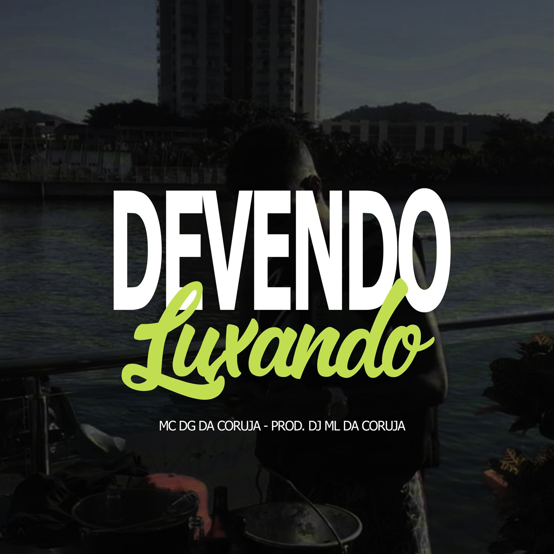 Album cover of Devendo Luxando