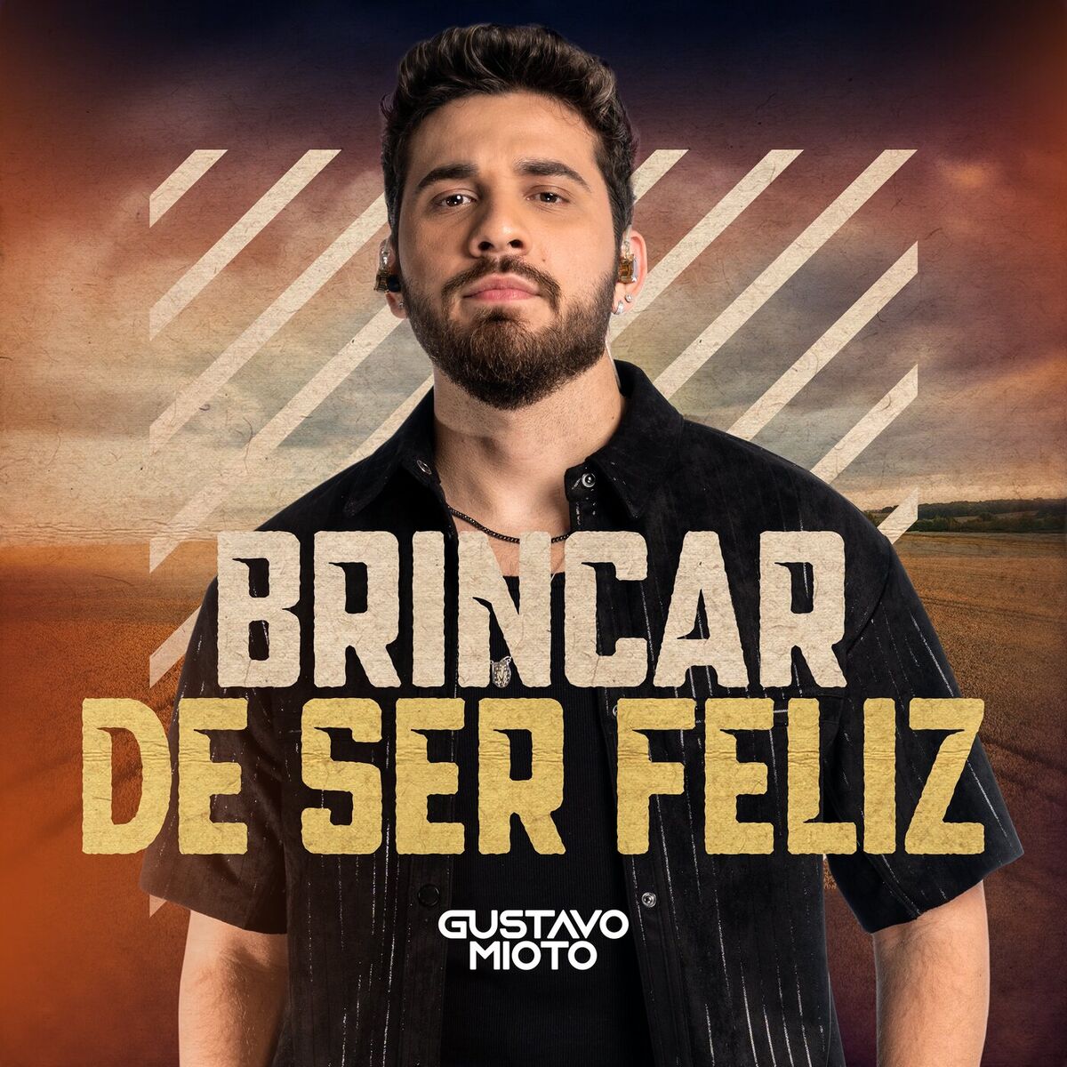 Album cover of Brincar De Ser Feliz