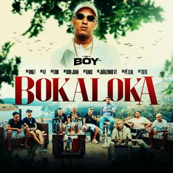 Cover of Bokaloka