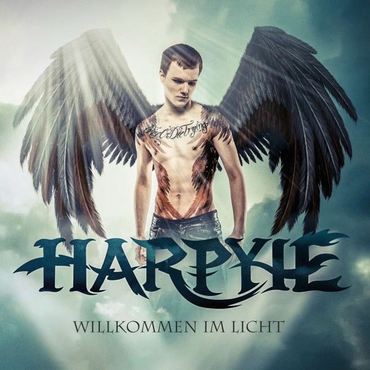 Album cover of Willkommen im Licht