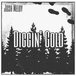 Cover of Diggin' Gold