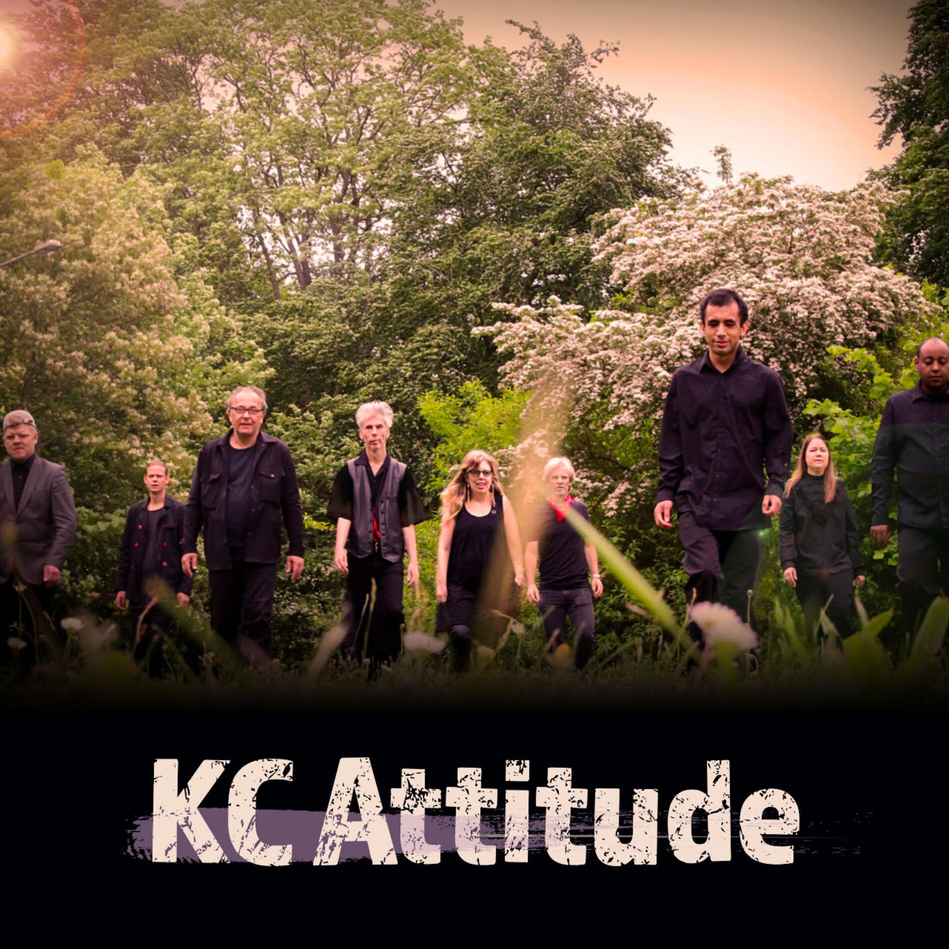 Album cover of Gatsten