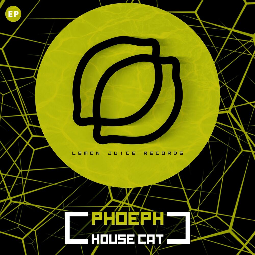 Picture of House Cat