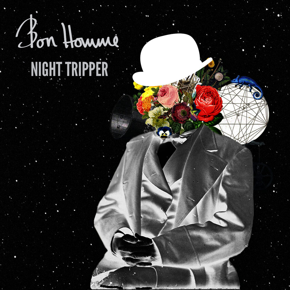 Picture of Night Tripper