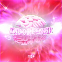 Cover of ENDORFINER