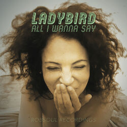 Cover of All I Wanna Say