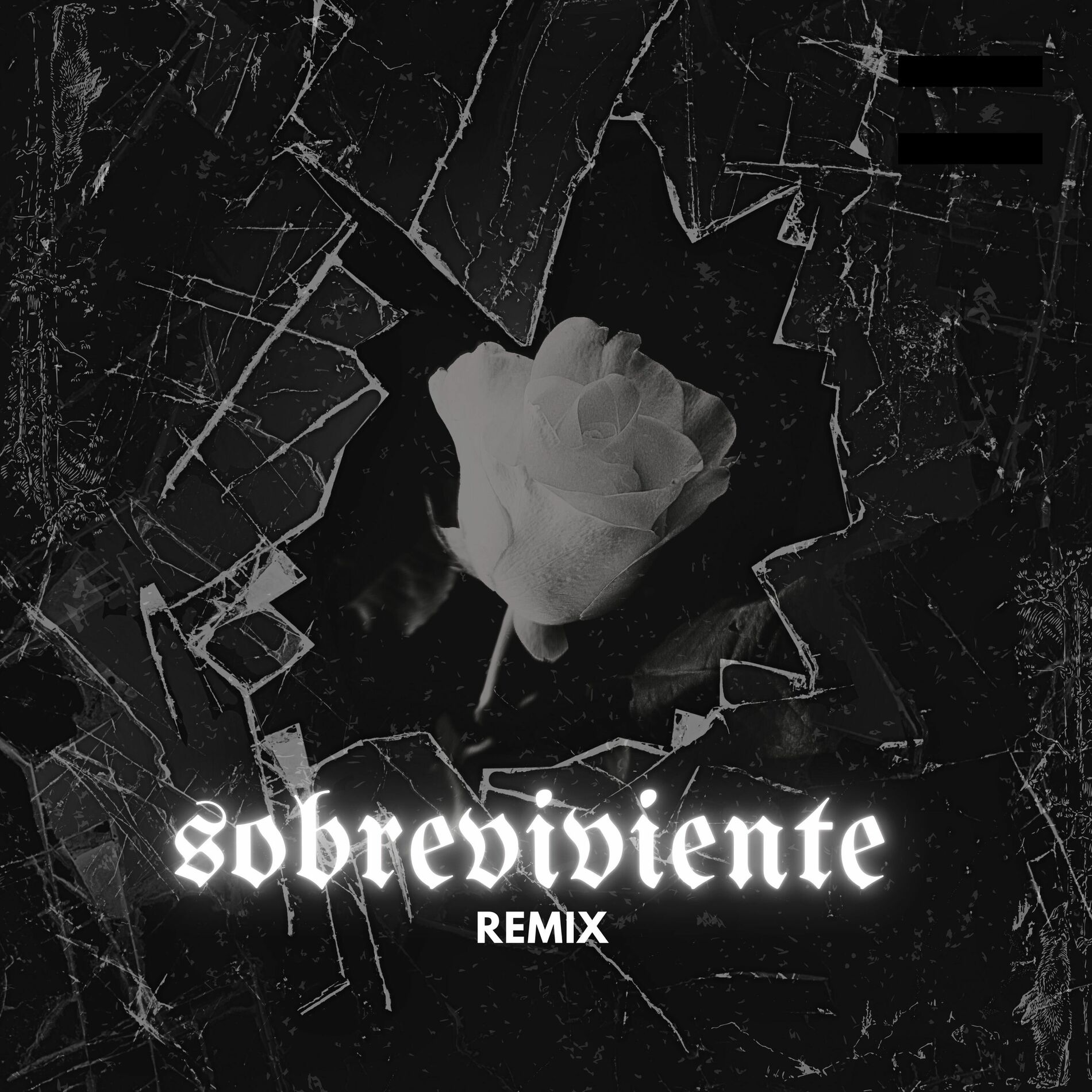 Album cover of Sobreviviente (Remix)