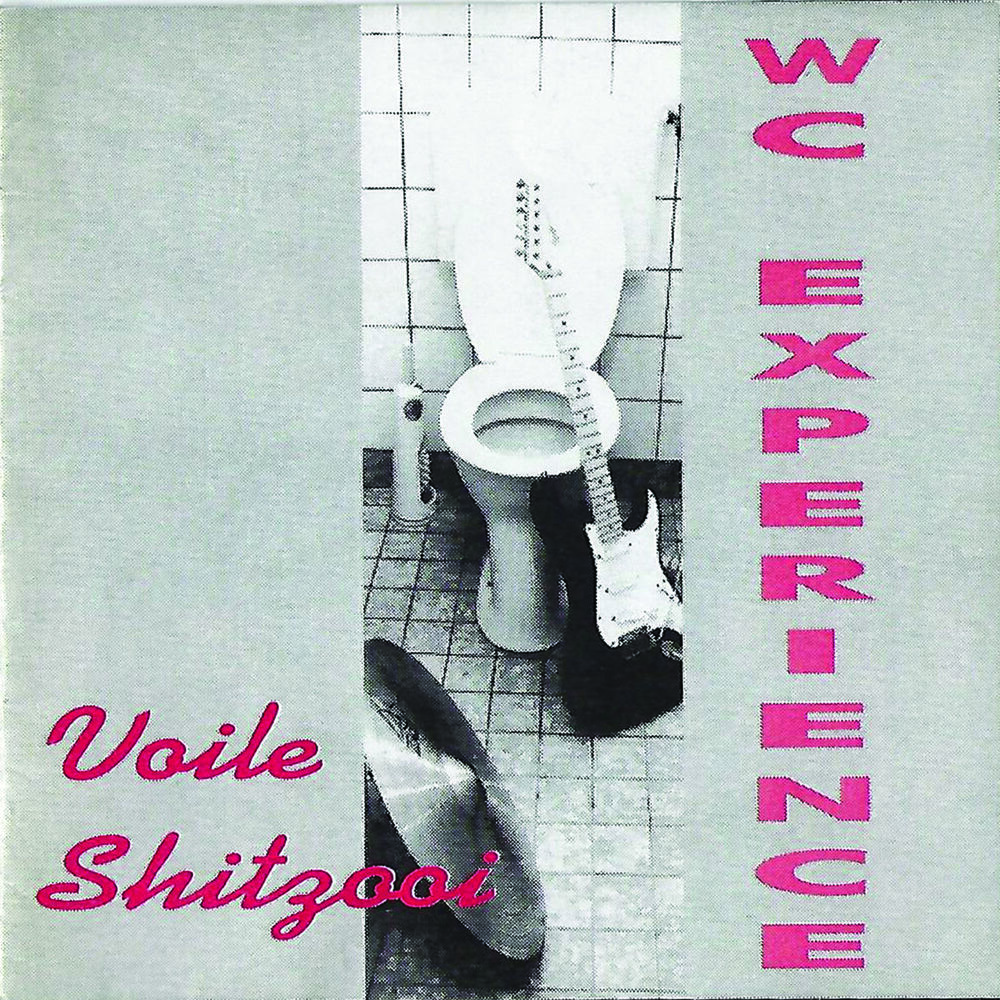 Picture of Voile Shitzooi (1993)