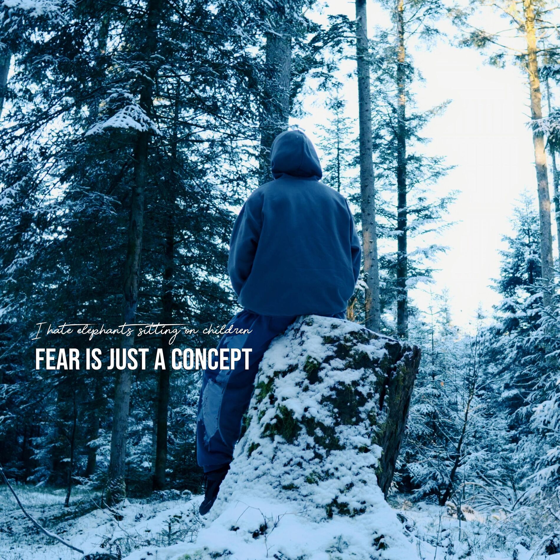 Album cover of Fear Is Just a Concept