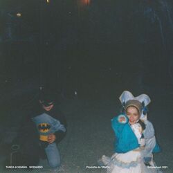 Cover of SCENARIO