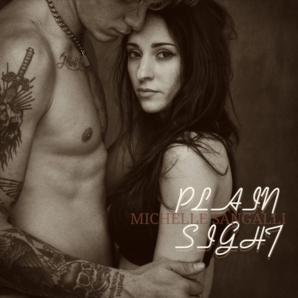 Picture of Plain Sight