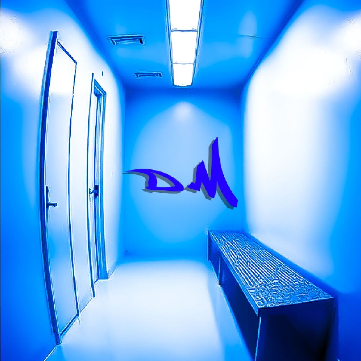Album cover of LALLIO FLOW