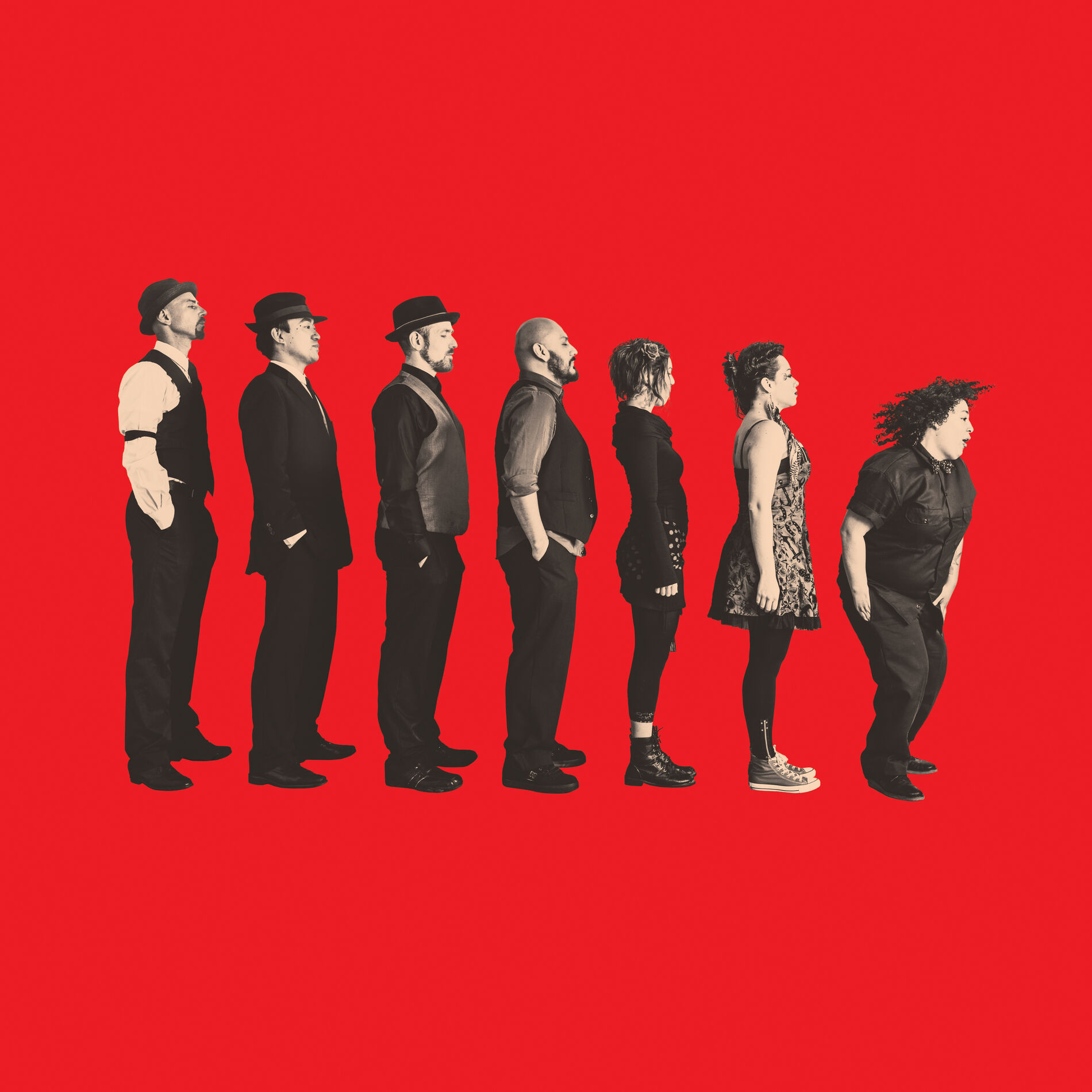 Album cover of Acosadora