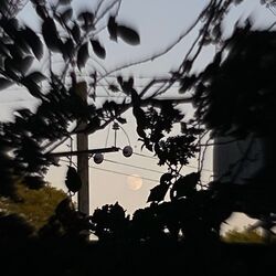 Cover of lakeside
