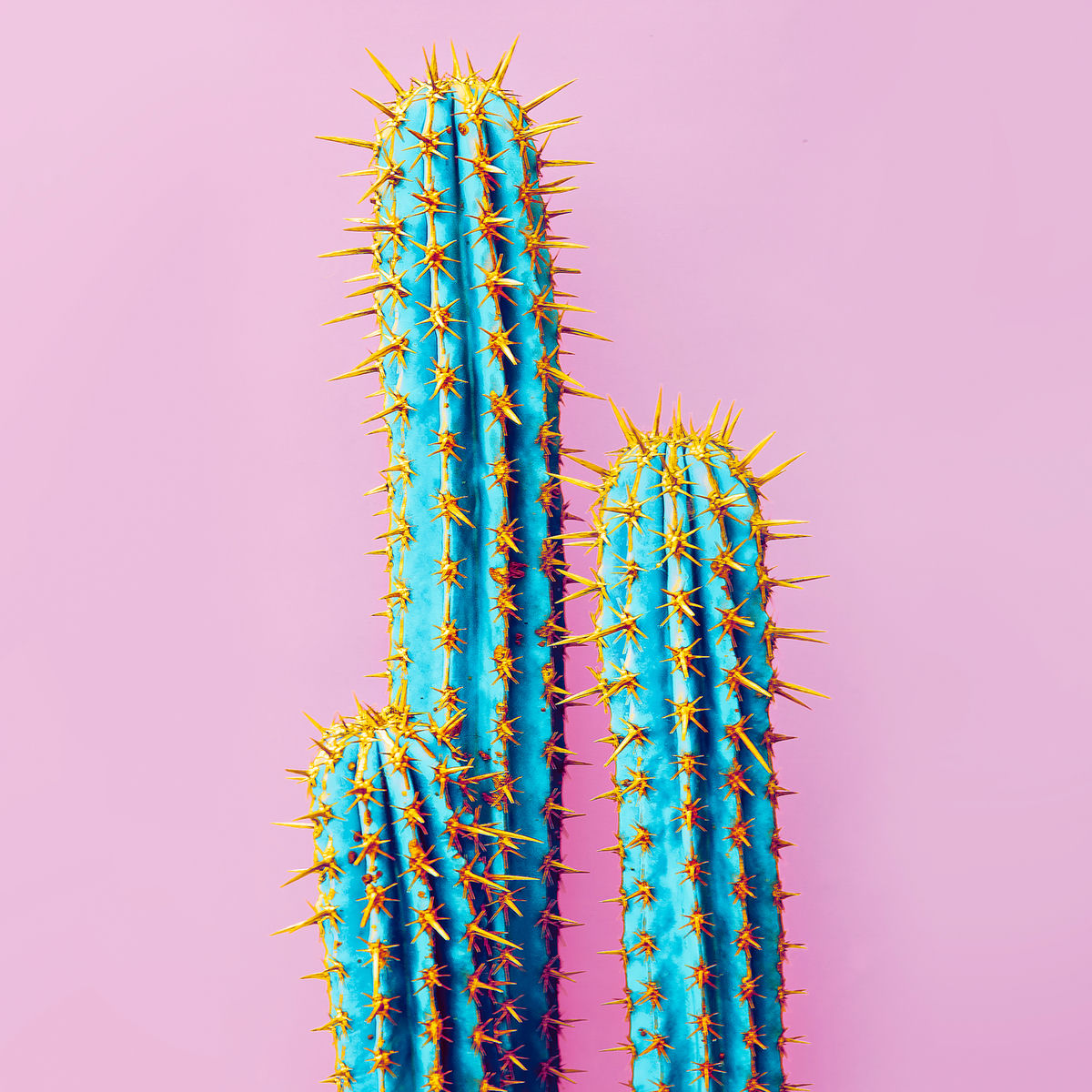 Album cover of Into the Heat