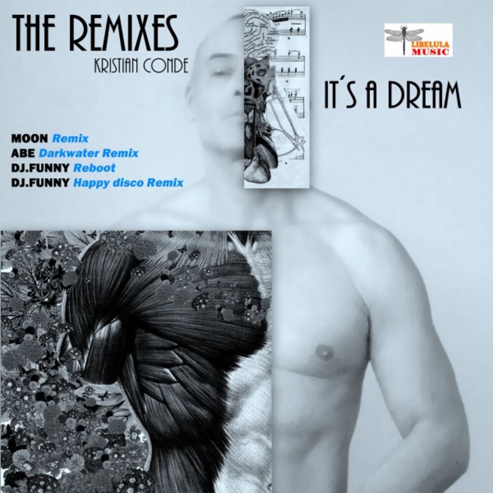 Picture of It's a Dream (Remixes)