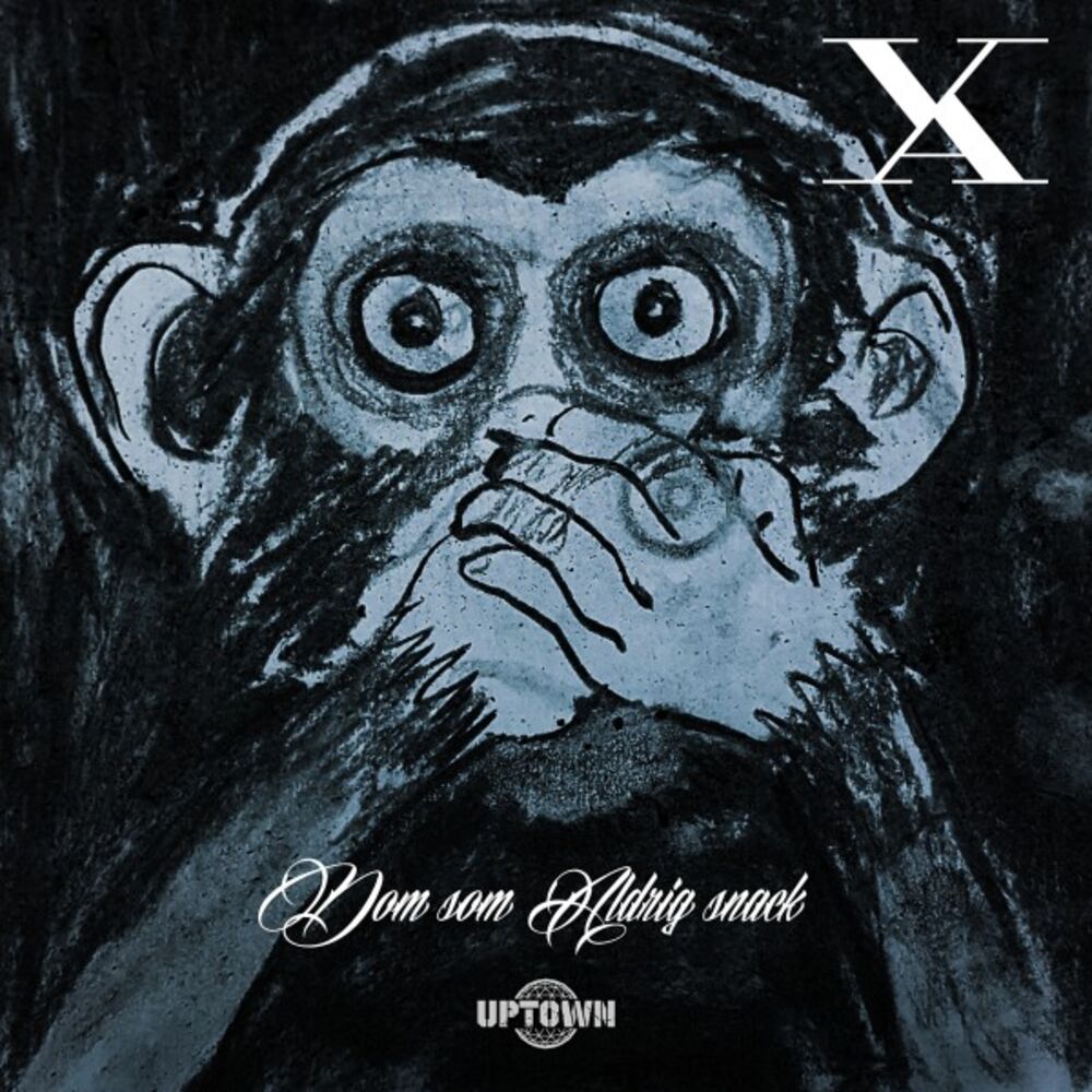 Picture of Dom som aldrig snack - EP