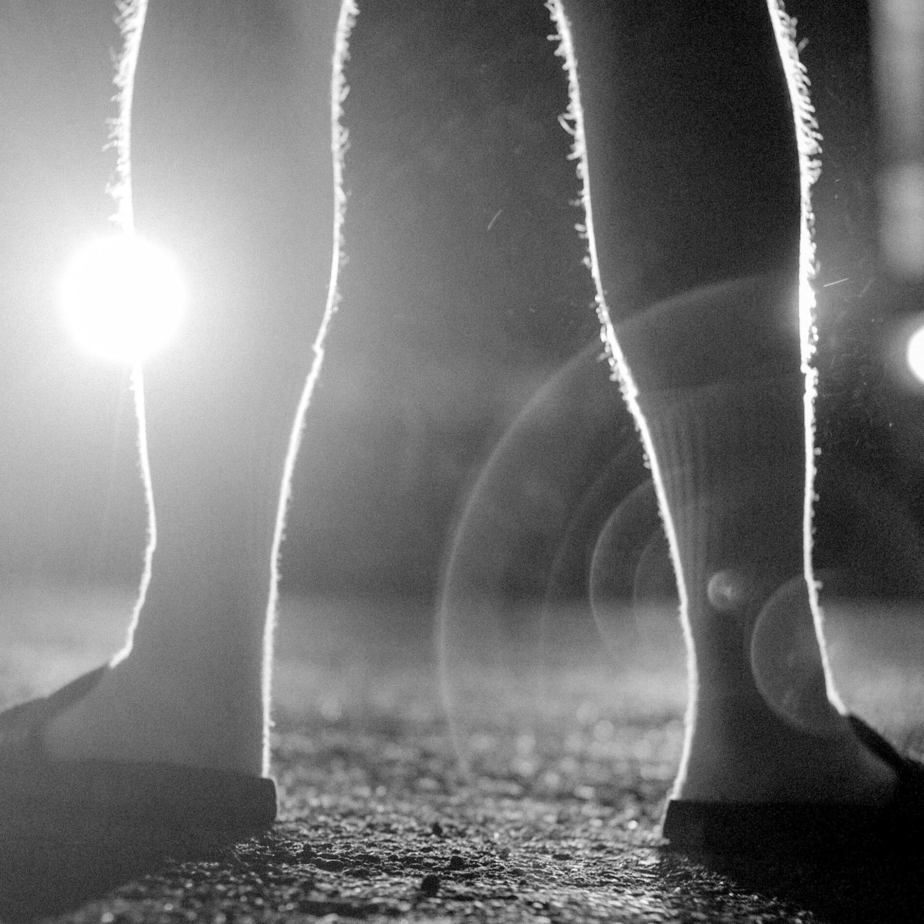 Album cover of Naked in the Cold (feat. Joy Anonymous)